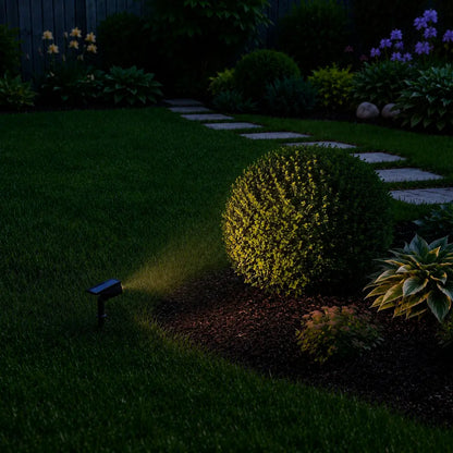 Spot Solaire 7 LED - Sol et Mur