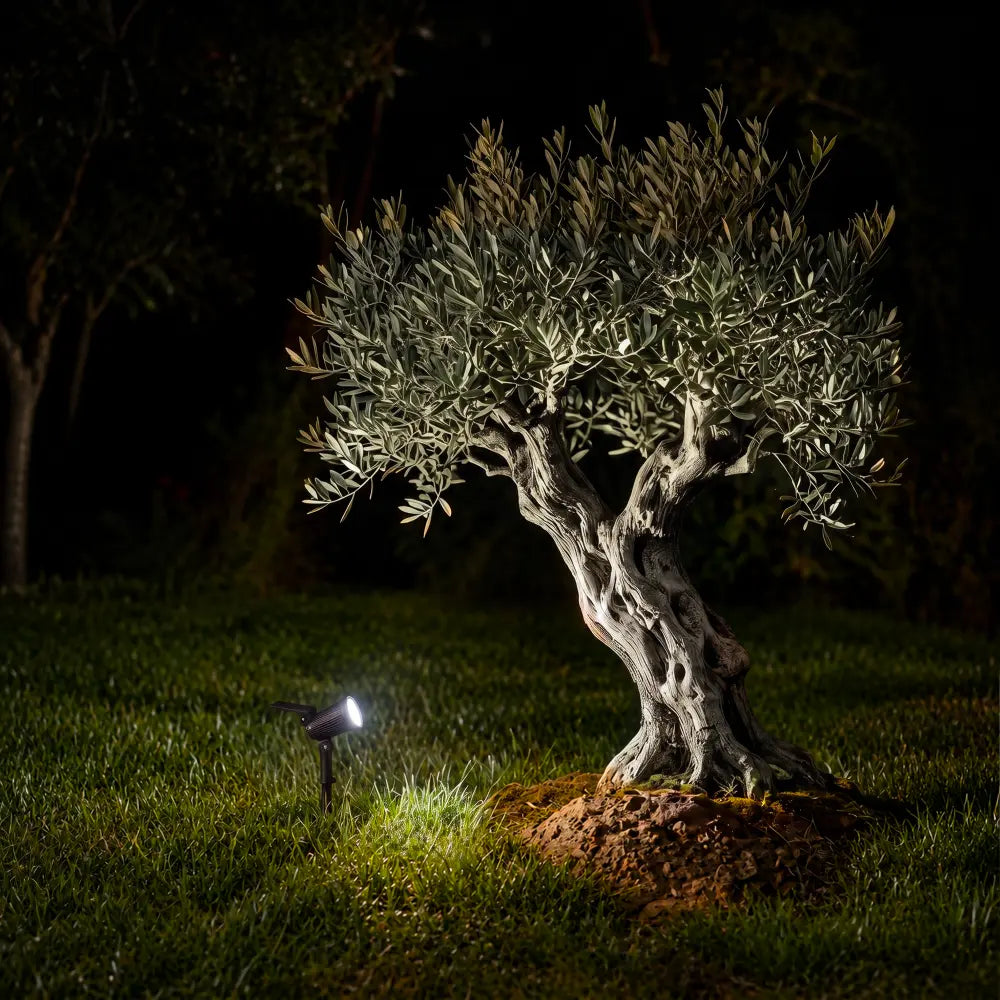 Spot Solaire 9 LED - 3 Intensités