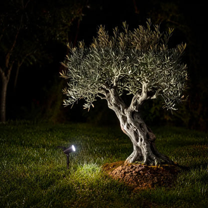 Spot Solaire 9 LED - 3 Intensités