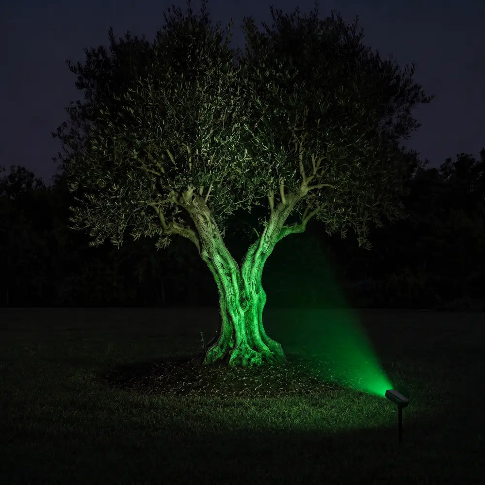 Spot Solaire Orientable 360° - Vert ou Blanc Chaud