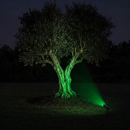 Spot Solaire Orientable 360° - Vert ou Blanc Chaud